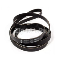 Ремень 1965H8 Hutchinson сушильной машины WHIRLPOOL 481235818154