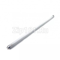 Лампа люминесцентная F 18W T8 840 G13 холодильника Атлант 908081800042